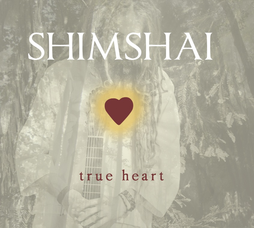 Upbeat spiritually oriented and heart centered reggae and pop world fusion from Shimshai delivers with a full band on True Heart for when body mind and soul all need to commune and celebrate.